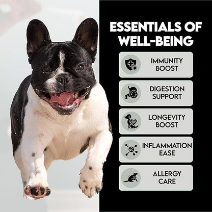 Mushroom Supplement for Dogs – Turkey Tail Mushroom for Dog Immune Support, Digestion, Allergies & Longevity with Omega3 & Turmeric | for Dogs Lumps and Bumps | French Bulldog Optimized