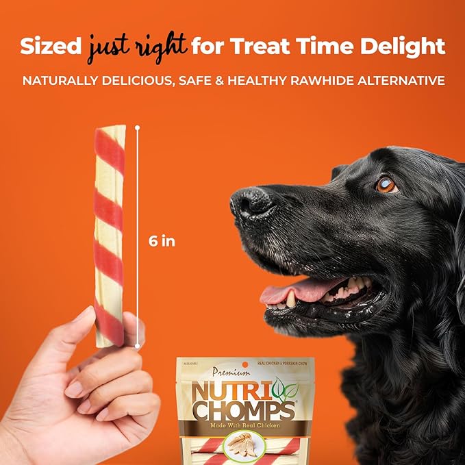 NutriChomps Dog Chews, 6-inch Twists, Easy to Digest, Rawhide-Free Dog Treats, 21 Count, Real Chicken flavor