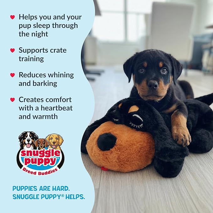 Snuggle Puppy Heartbeat Puppy Toy for Large Breeds, Breed Buddies Collection-Rottweiler, Plush Dog Toy with Real-Feel Pulse and Heat Pack for Crate Time, First Nights, and Rest
