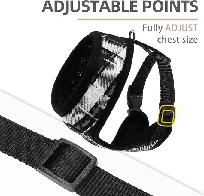 PUPTECK Soft Mesh Dog Harness and Leash Set Pet Puppy Cat Comfort Padded Vest No Pull Harnesses, Black, XL