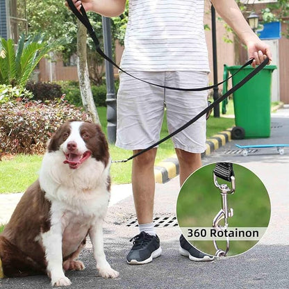 AMAGOOD 6 FT Puppy/Dog Leash, Strong and Durable Traditional Style Leash with Easy to Use Collar Hook, Great for Small, Medium and Large Dogs (3/4 in x 6 ft, Black and Blue (2-Pack))