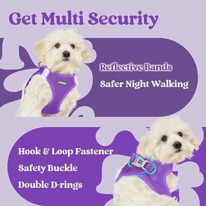 rabbitgoo Small Dog Harness, Step-in Soft Mesh Puppy Vest with Safety Buckle, Breathable Reflective Pet Harness for Large Dogs, Purple XXL