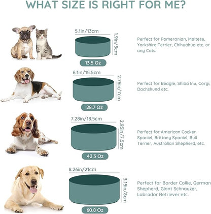 SPUNKYJUNKY 42OZ Ceramic Dog and Cat Bowl, Modern Cute Weighted Food Water Bowl for Replacement Light Green (1 Pack)