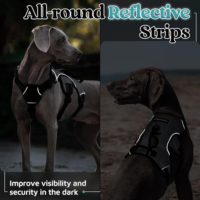 rabbitgoo Escape Proof Dog Harness, Soft Padded Full Body Pet Harness, Reflective Adjustable No Pull Vest with Lift Handle and Leash Clip for Large Dogs Walking Hiking Training, L, Grey