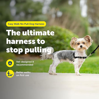 PetSafe Easy Walk Harness for Dogs - Pull-Free Walks - Patented Martingale Loop Design - Front Chest Leash Attachment - Comfort Straps - Breathable Harness Design - Petite/Small, Black/Silver