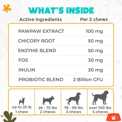 Probiotics for Dogs Chews - 60 pcs - Digestive & Gut Health Support - Probiotic Chews for Dogs with Enzymes & Natural Ingredients - US Formula - Beef Flavored