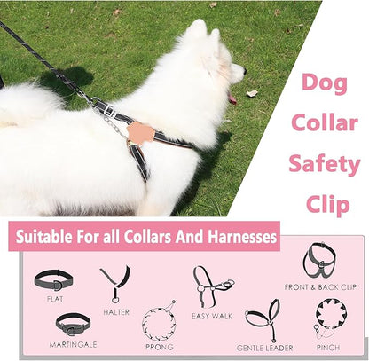 2 PCS Dog Collar Metal Safety Clip, Harness Collar Leash Chain Connector, Heavy Duty Double End Spring Backup Buckle Clasp, Escape-Proof Safety Accessory (Medium, Silver)