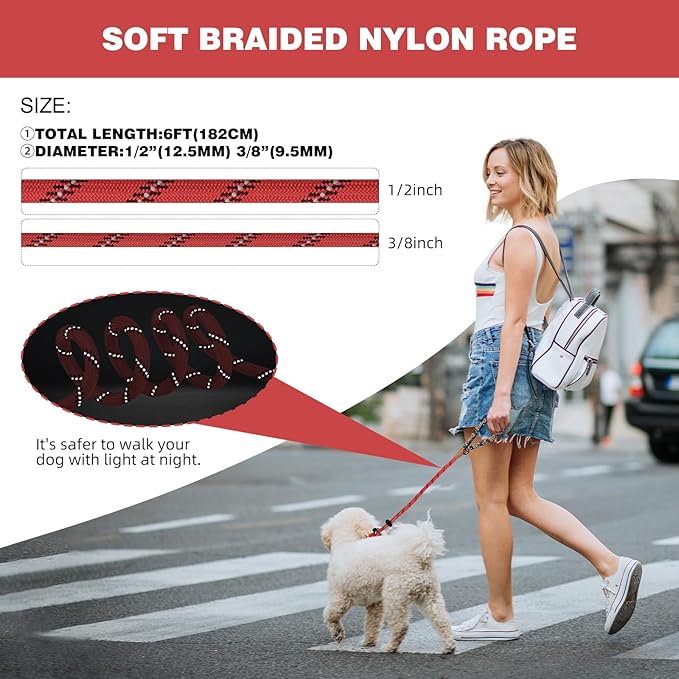 lynxking Slip Lead Dog Leash Reflective, Heavy Duty Comfortable Strong Rope for Large Medium Small Dogs No Pull Pet Training (Red, 2PCS Large 1/2in x 6ft)