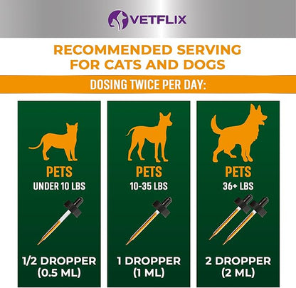 Allergy and Immune Drops for Dogs, Cats, Puppies and Kittens - Natural Supplement with Turmeric and Milk Thistle - Seasonal Allergy Relief and Immune Support - 2 Fl Oz