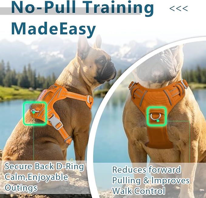 BARKBAY Dog Harness No Pull Oxford with ID Tag Pocket - Heavy Duty, Reflective, Easy Control for Large Dogs(Pumpkin Oxford,M)