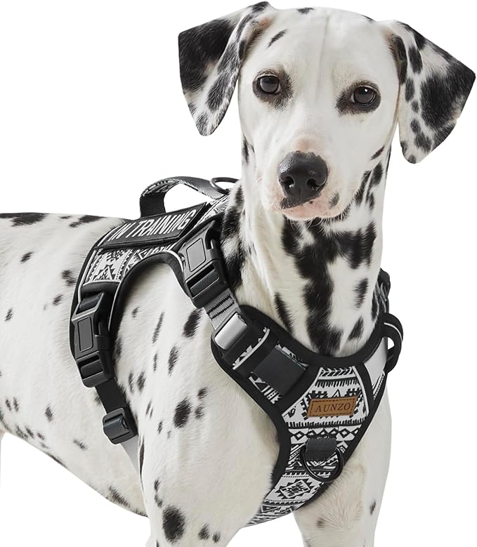 Tactical Dog Harness for Medium Large Dogs, No Pull Pet Harness with 2 Leash Clips, Adjustable Soft Padded Dog Vest, Reflective Pet Oxford Vest with Easy Control Handle, Black Ethnic M