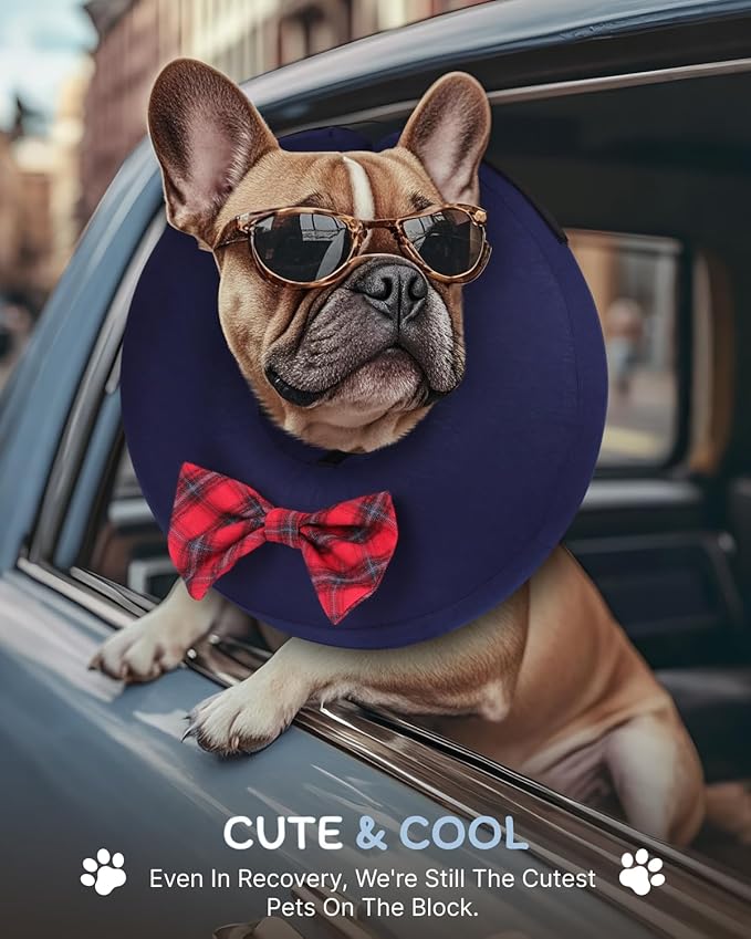 MIDOG Dog Cone Collar for Large Medium Dogs, Soft Inflatable Dog Cone Alternative After Surgery, Adjustable Protective Recovery Cone - Alternative E Collar Does Not Block Vision (Bow Tie,L+)