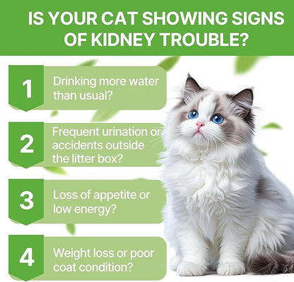 Cat Kidney Support – Kidney Support Supplement for Cats Feline Health, Fluid Balance & Appetite, Veterinarian-Formulated Herbal Supplement 2 fl oz–for Normal Kidney Cleanse and Essential Kidney Care