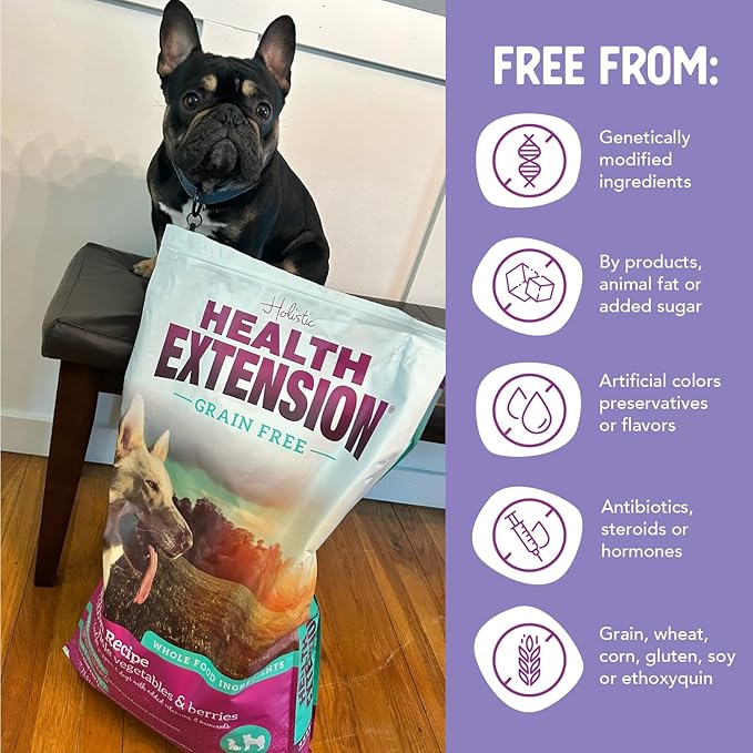 Health Extension Grain Free Salmon & Sweet Potato Dry Dog Food - 30+ Superfoods and Probiotics for All Life Stages (10 lb)