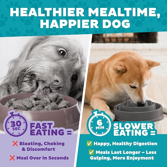 Outward Hound Fun Feeder Slo Bowl – Medium 2‑Cup Capacity,Slow Feeding,Small to Medium Dogs & Cats,Non-Slip,Gray,Drop Pattern,(Pack of 12)