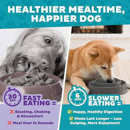 Outward Hound Fun Feeder Slo Bowl – Medium 2‑Cup Capacity,Slow Feeding,Small to Medium Dogs & Cats,Non-Slip,Gray,Drop Pattern,(Pack of 12)