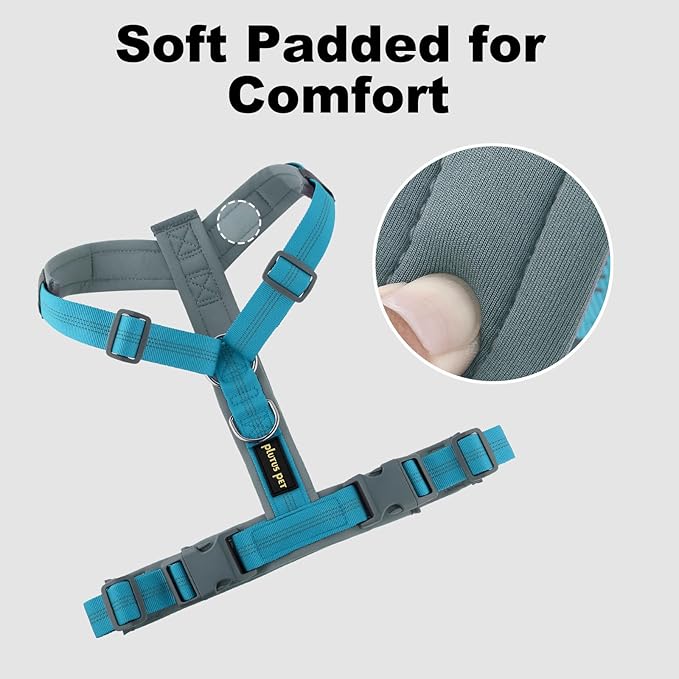 Plutus Pet No Pull Dog Harness, Adjustable Nylon Harness with Soft Padding, Reflective and Heavy Duty Dog Harness for Small, Medium, Large Dogs(Cyan, L)