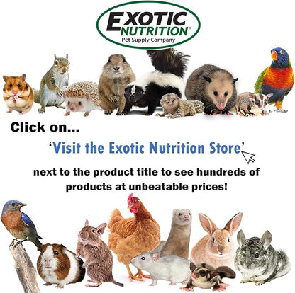 Exotic Nutrition Baby Animal Nursing Set (Basic) - Milk Replacer Formula, Feeding Syringes- Sugar Glider, Squirrel, Opossum, Rabbit & Other Mammals