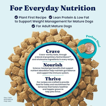 Solid Gold Dry Dog Food for Adult & Senior Dogs - with Whole Grains, Oatmeal, Pearled Barley, & Fish - Potato Free, High Fiber Adult Dog Food Dry Kibble for Sensitive Stomach & Immune Support – 4LB