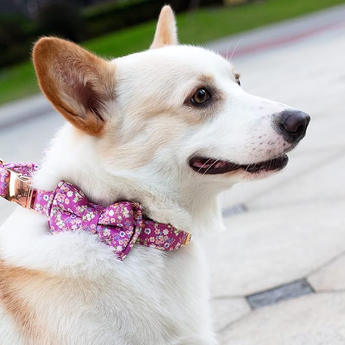 Dog Collar and Leash Set Girls Adjustable Puppy Collars with Floral Bow Tie for Small Medium Large Female Dogs, Purple, XS