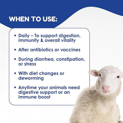 Ruminant Probiotic Paste 80CC for Cattle, Goats & Livestock – Prebiotic + Probiotic 6 Strains 8B CFU, Vitamin E & Minerals – Digestive, Rumen & Immune Support, Calving