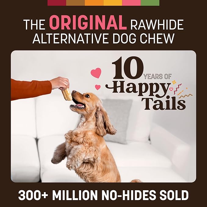 Earth Animal No Hide Chews - Long Lasting Rawhide Free Small Dog Chews Rolls, Salmon - 6 Count