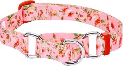 Blueberry Pet Spring Scent Inspired Rose Print Martingale Safety Training Dog Collar, Baby Pink, Large, Heavy Duty Adjustable Collars for Dogs