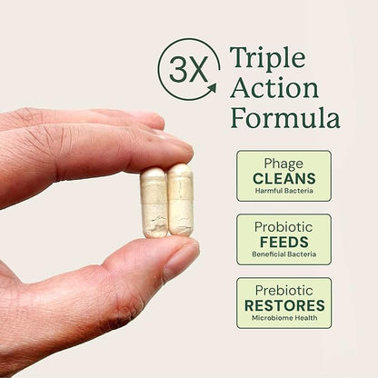 Animal Biome Probiotics for Dogs with S Boulardii, Gut Maintain (60 Capsules) – Triple-Action Medium Dog Probiotics, Prebiotics & Phage Supplements for Gut Health, Firmer Stool & Diarrhea Support
