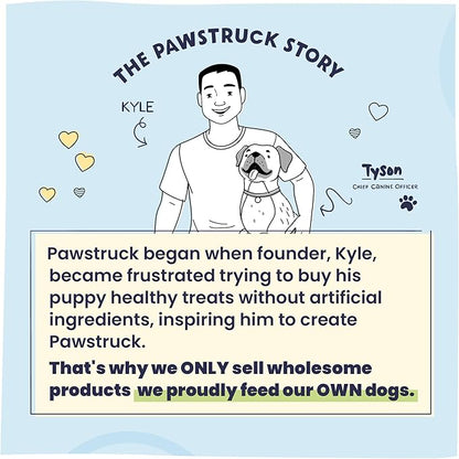Pawstruck Premium Beef Jerky Dog Treat Chews, Large 10" Strips – Supports Hip & Joint Health, Rich in Glucosamine & Chondroitin, No Added Preservatives – 15 Count