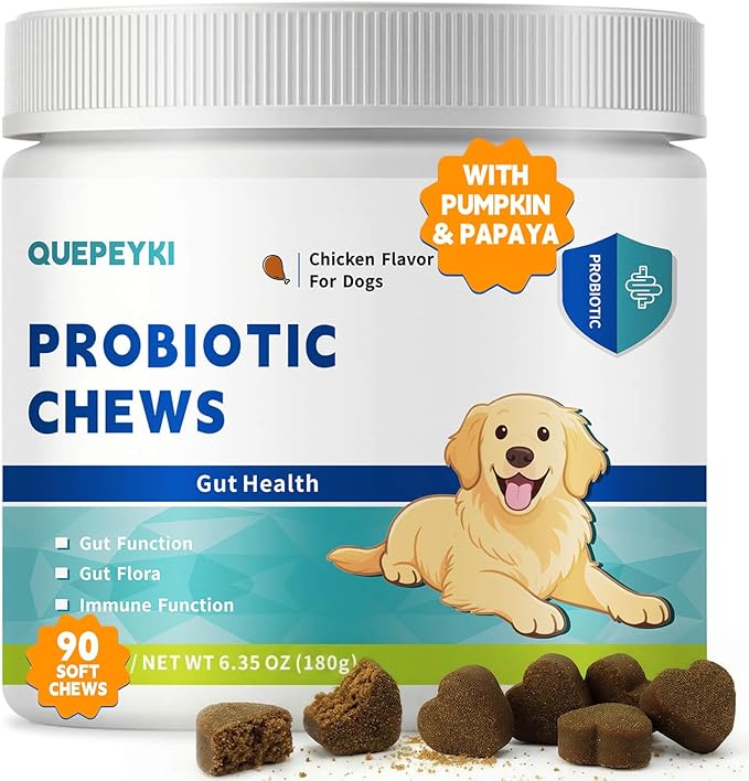 Dog Probiotics Soft Chews with 160mg Pumpkin & Papaya Enzymes – 90 Count – 4-in-1 Gut Support for Scooting Comfort, Stool Consistency & Occasional Gas – Chicken Liver Flavor
