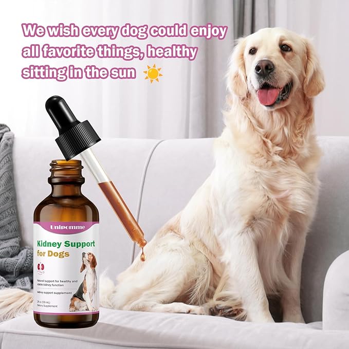 Kidney Support Supplement for Dogs - Supports Kidney Function Health in Dog - Natural Herbal Drops 2 oz - Improve Blood in Urine, Lack of Appetite, Weight Loss, Excessive Drinking, Lethargy, Dull Coat