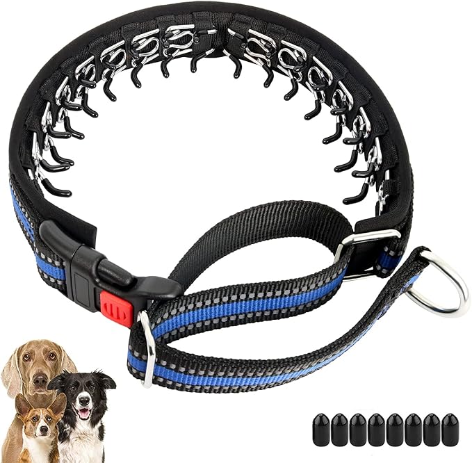 Mayerzon Martingale Collar for Dogs, No Pull Dog Collar with Reflective Strip for Small Medium Large Dogs, Anti Pulling Dog Collar with Buckle for Walking Training, Safe for Night Walk(Blue, S)