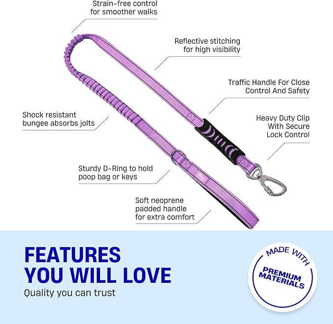 Dog Friendly Co. Bungee Dog Leash | Strain Free & Shock Resistant for Control | Neoprene Padded Handle, Heavy-Duty Carabiner Clip, and D-Ring | Purple, Size Regular