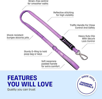 Dog Friendly Co. Bungee Dog Leash | Strain Free & Shock Resistant for Control | Neoprene Padded Handle, Heavy-Duty Carabiner Clip, and D-Ring | Purple, Size Regular