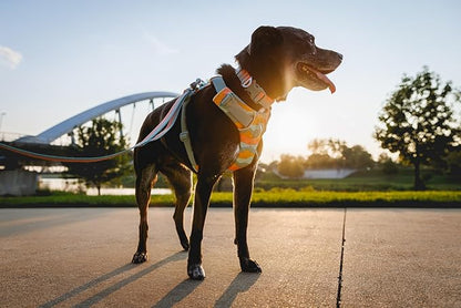 Ruffwear, Front Range Dog Collar, Adjustable Tubelok Webbing, Lightweight, Side Release Buckle, Aluminum V-Ring, Durable for Everyday Use, Coastal Fade, 14"-20"