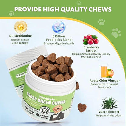 Grass Burn Spot Chews for Dogs, Dog Pee Lawn Spot Saver Caused by Dog Urine, Green Grass Chews with Gut Health Probiotics, DL-Methionine and Cranberry, Urine Neutralizer for Lawn - 120 Ct