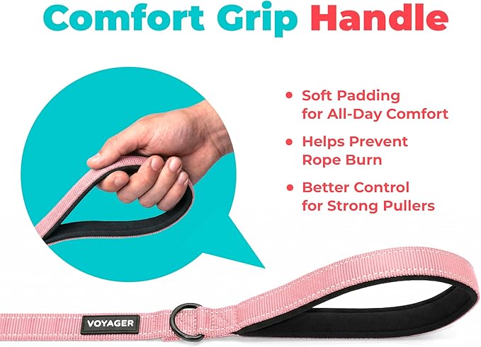 Best Pet Supplies Voyager Reflective Dog Leash or Collar with Neoprene Handle, for Small, Medium, and Large Breed Puppies, Cute and Heavy Duty for Walking, Running and Training - Soft Pink (Leash), M