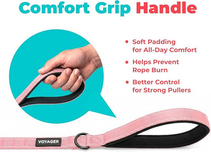 Best Pet Supplies Voyager Reflective Dog Leash or Collar with Neoprene Handle, for Small, Medium, and Large Breed Puppies, Cute and Heavy Duty for Walking, Running and Training - Soft Pink (Leash), M