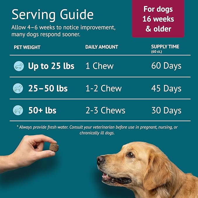 Skin & Coat Dog Chews – Collagen, Omega-3, EPA & DHA for Skin Health & Coat Shine – Antioxidant-Rich Supplement with Vitamin A & D3 – Supports Brain, Energy, and Balanced Blood Sugar