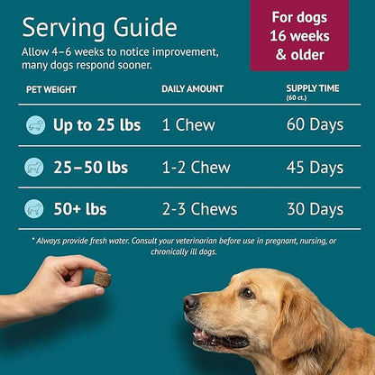 Skin & Coat Dog Chews – Collagen, Omega-3, EPA & DHA for Skin Health & Coat Shine – Antioxidant-Rich Supplement with Vitamin A & D3 – Supports Brain, Energy, and Balanced Blood Sugar