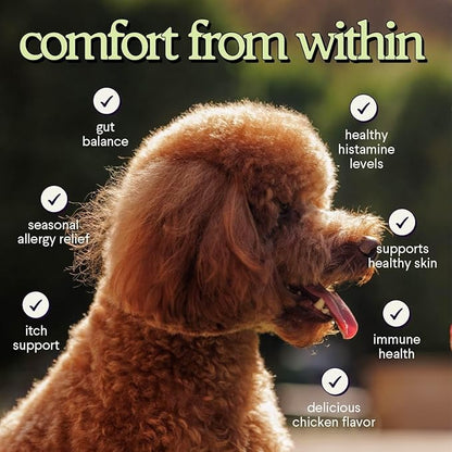 Premium Allergy & Immune Probiotics for Dogs – Allergy Relief, Itchy Skin Relief, Scratching, Digestion, Seasonal Allergies & Immune Support - Allergy Immune + Itch With Quercetin & Mushrooms - 2.12oz