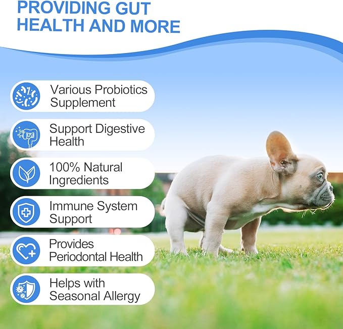Probiotics for Dogs Gut Digestive Health Probiotic Chews for Dogs with 11 Billion CFUs, 4 Prebiotics, Pumpkin, Salmon Oil & Yogurt Base| Supports Gas, Yeast Balance & Immune, Dog Probiotics 200ct