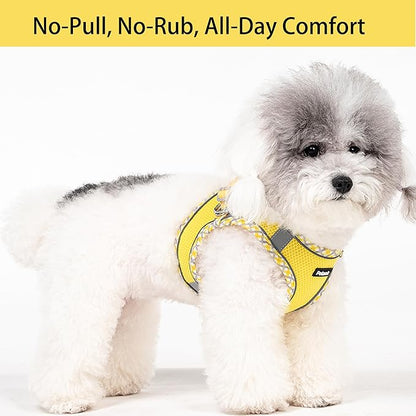 Petank Dog Harness for Small Medium Dogs No Pull, Puppy Harness and Leash Set for Walking, Running, Training, Small Dog Harness, Medium Dog Harness (Yellow, XS)