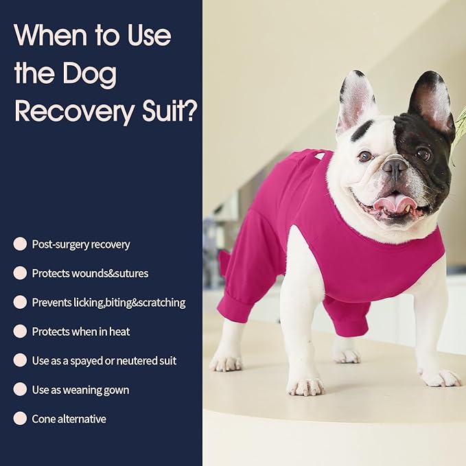 IECOii Dog Surgery Suit - Male Neuter Recovery Onesie, Anti-Licking Wounds, Post-Operative Vest, XXL-Rosered