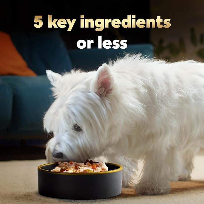 Cesar Simply Crafted Adult Wet Dog Food Toppers for Dry Food,Chicken,1.3 oz Tubs,24 Count (Pack of 2)