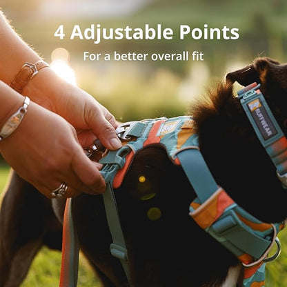 Ruffwear, Front Range Dog Harness, Reflective Soft Padded Everyday Harness with Dual Leash Clips, Adjustable and Lightweight Fit for Training or Walking for All Dogs, Coastal Mountains, Large/X-Large
