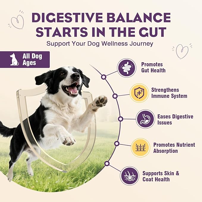 Probiotics for Dogs 200pcs Dog Probiotics for Digestive Health Digestive Enzymes and Prebiotic, Probiotic Chews for Dogs Support Gut Health, Relieve Diarrhea, Itchy Skin, Enhance Immunity