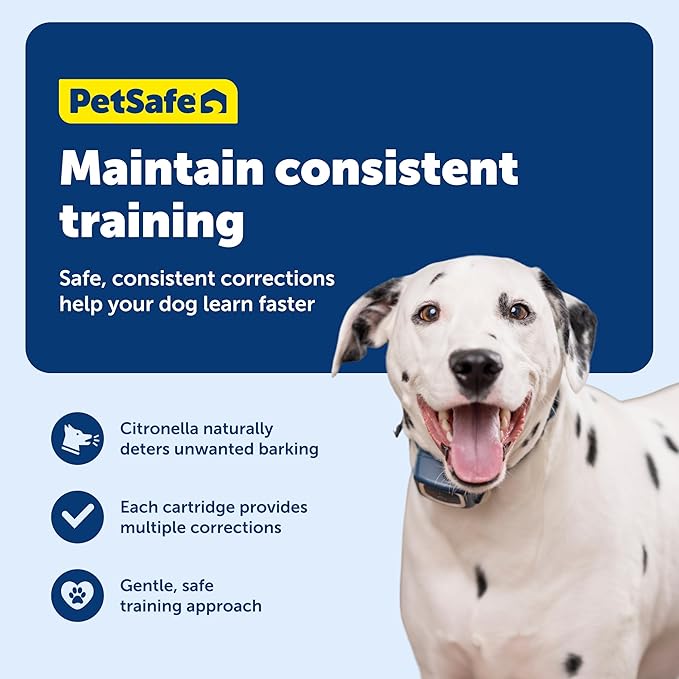 PetSafe Spray Refill - Citronella - No-Mess Replacement Cartridges Spray Dog Bark Collar Remote Training Collar - Refill Cartridge Only - 3-Pack - PAC00-16371