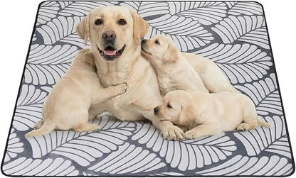 Qeils Reusable Puppy Pads, Washable Pee Pads for Dogs, Extra Large Waterproof Non Slip Wee Wee pad, Absorbent and Leakproof Training Mats for Potty, Crate, Playpen, Bed, Sofa, 63"x 63"