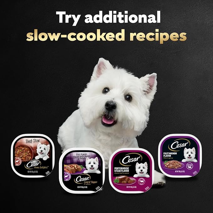 Cesar Wet Dog Food Steak Lovers Variety Pack, Adult, Wet Food for Dogs with Real Meat, 3.5 oz Easy Peel Trays, 24 Count